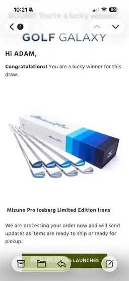 Mizuno Pro Iceberg Iron