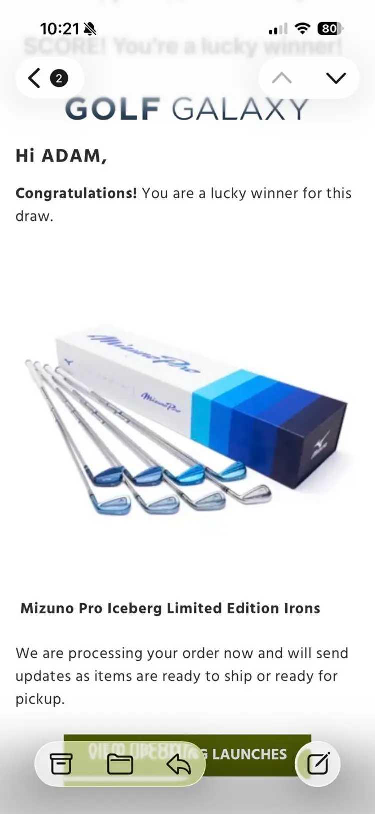 Mizuno Pro Iceberg Iron