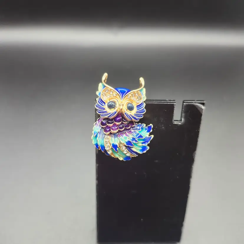 Enchanted Night Owl Brooch