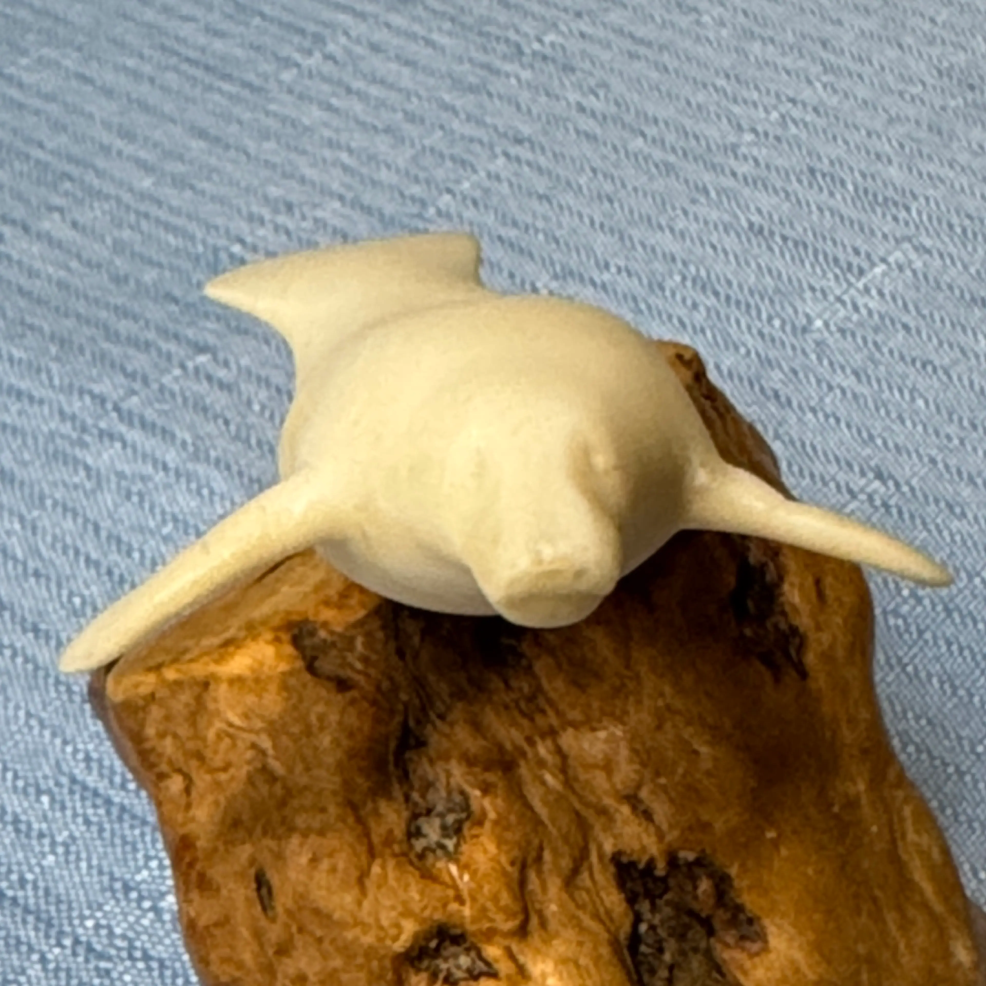 Image 5 of 6