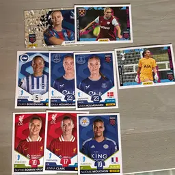 WSL 2025 Stickers Panini