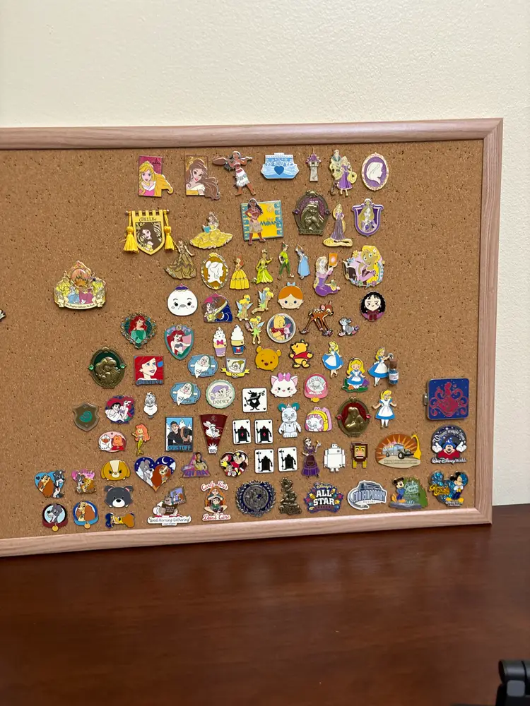Disney Pin Board Pick