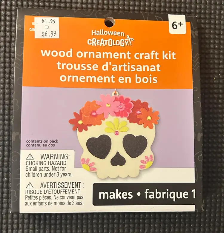 Creatology Halloween Skull Wood Ornament Craft Kit NWT