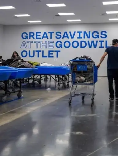 Last Day At My Bins, See What I Got! Pop Up!