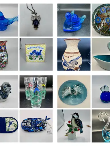 Bluebirds & Friends 🐦