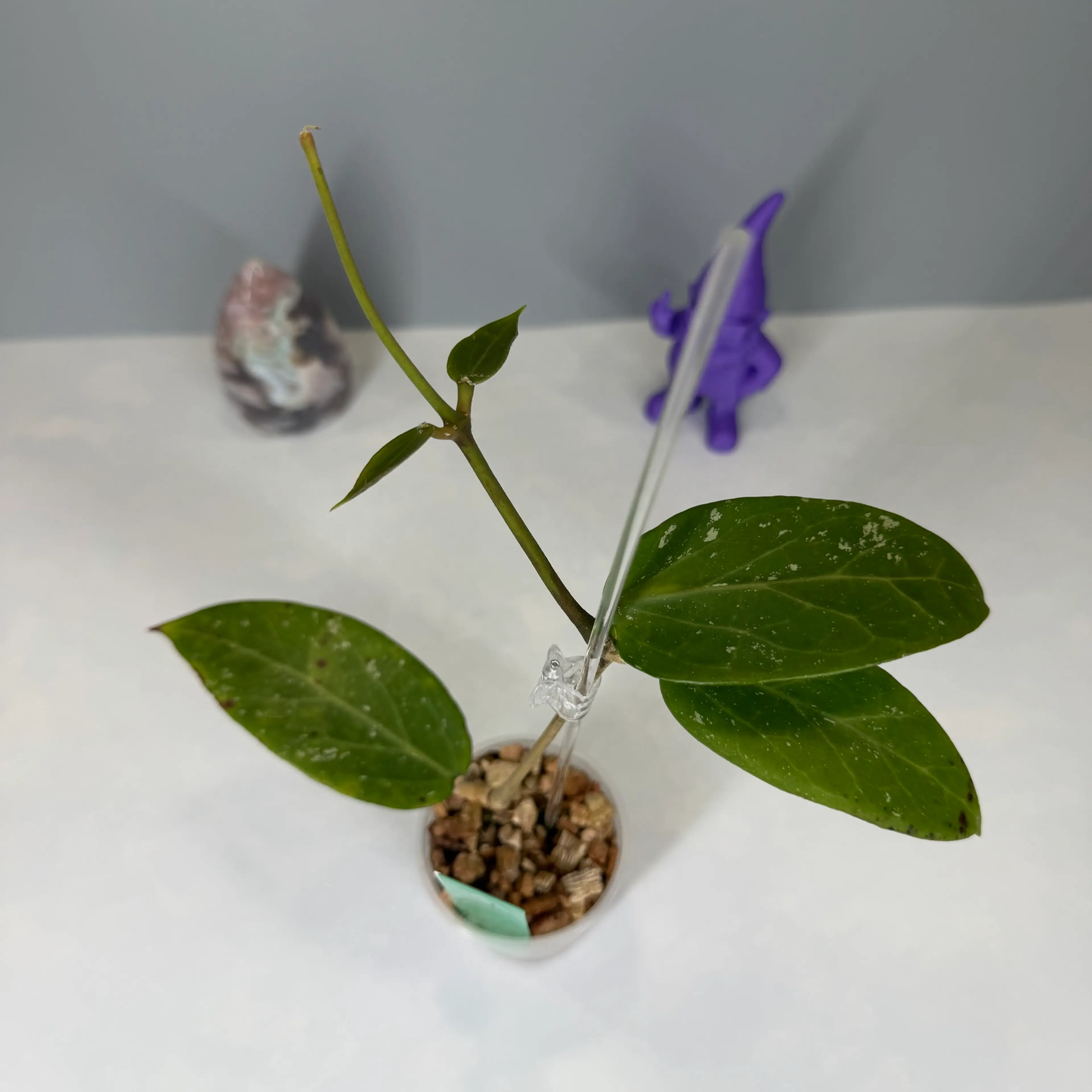 Image 2 of 4