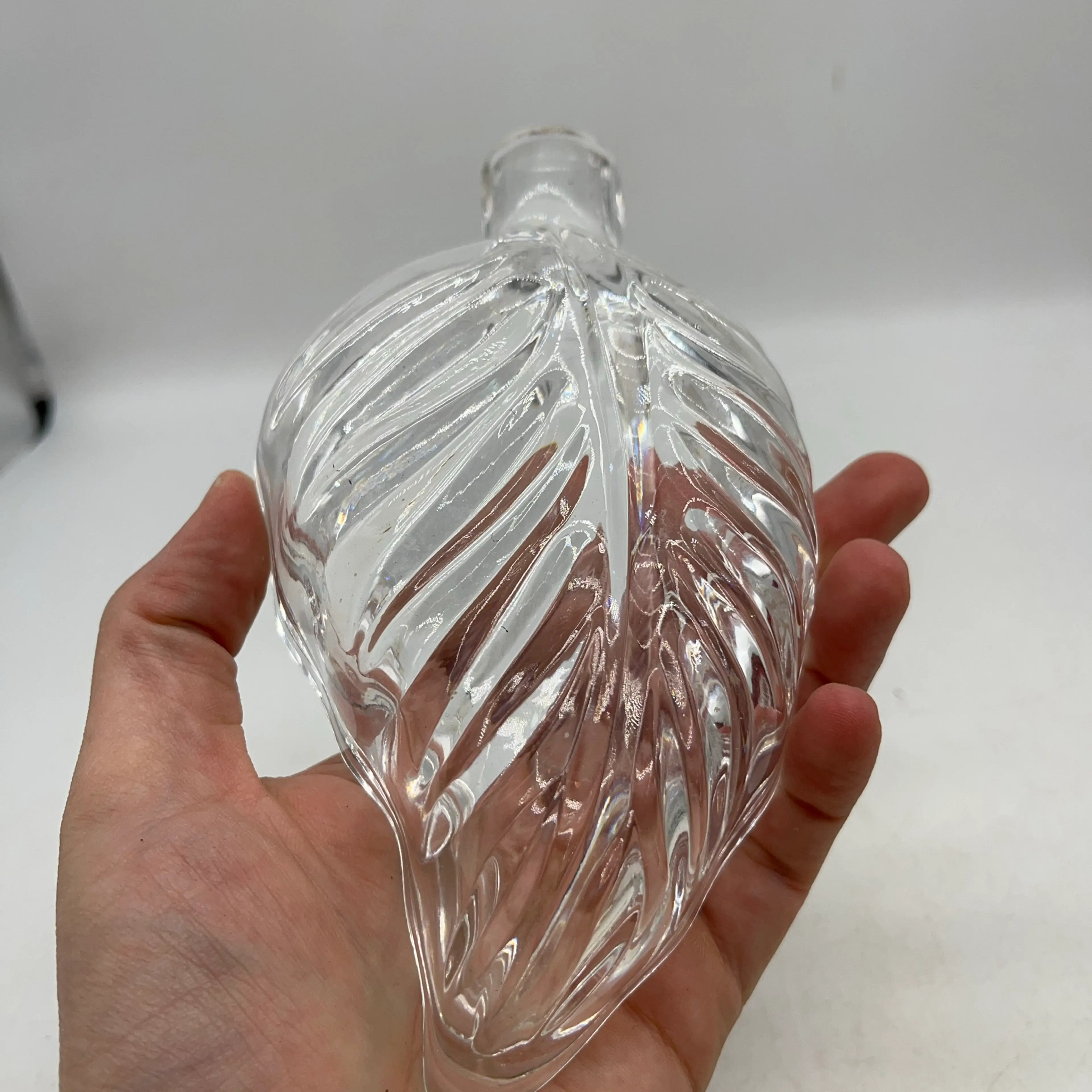 Image 3 of 6