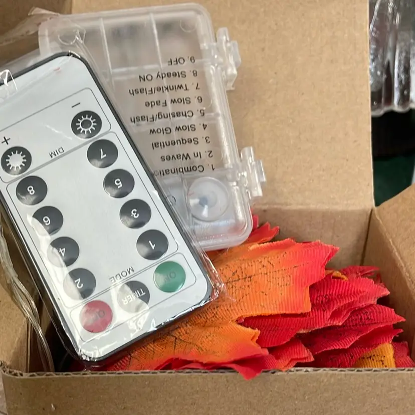 Fall Leaves Battery And Remote Lights NIB