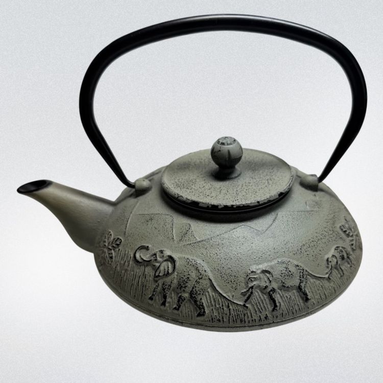 Cast Iron Teapot