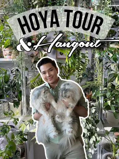 Hoya tour & Hangout Part 2 