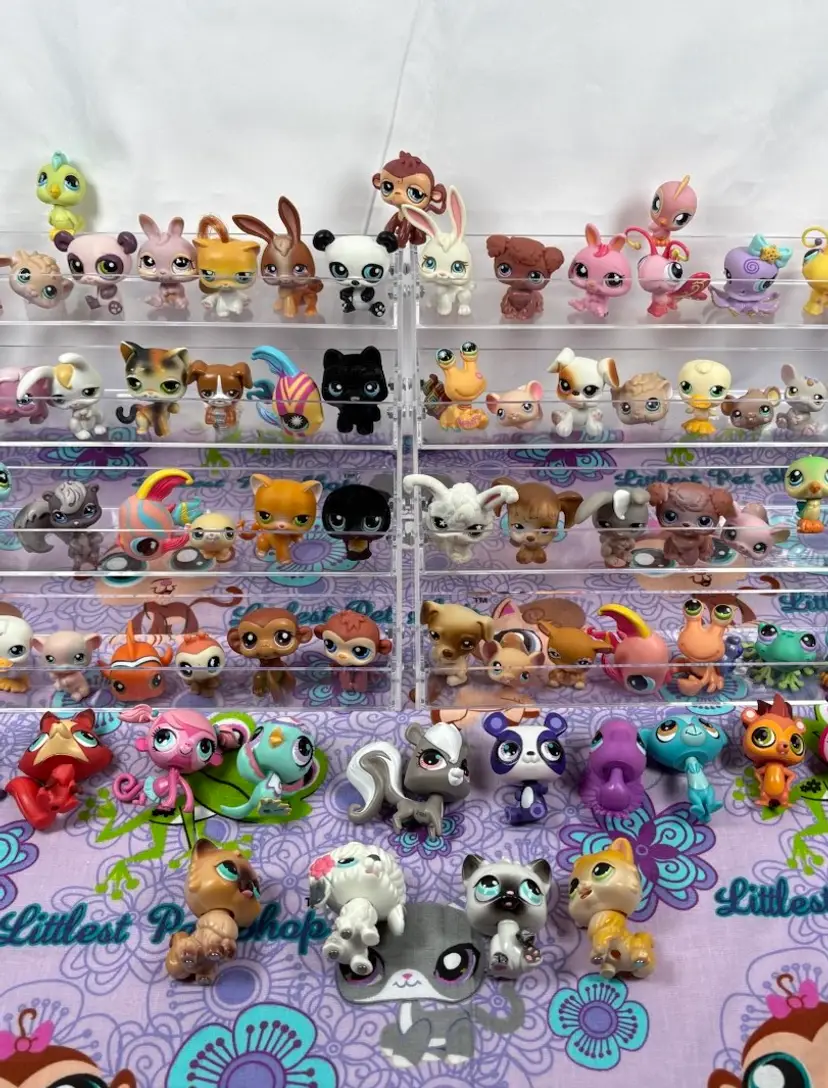 Livestream thumbnail