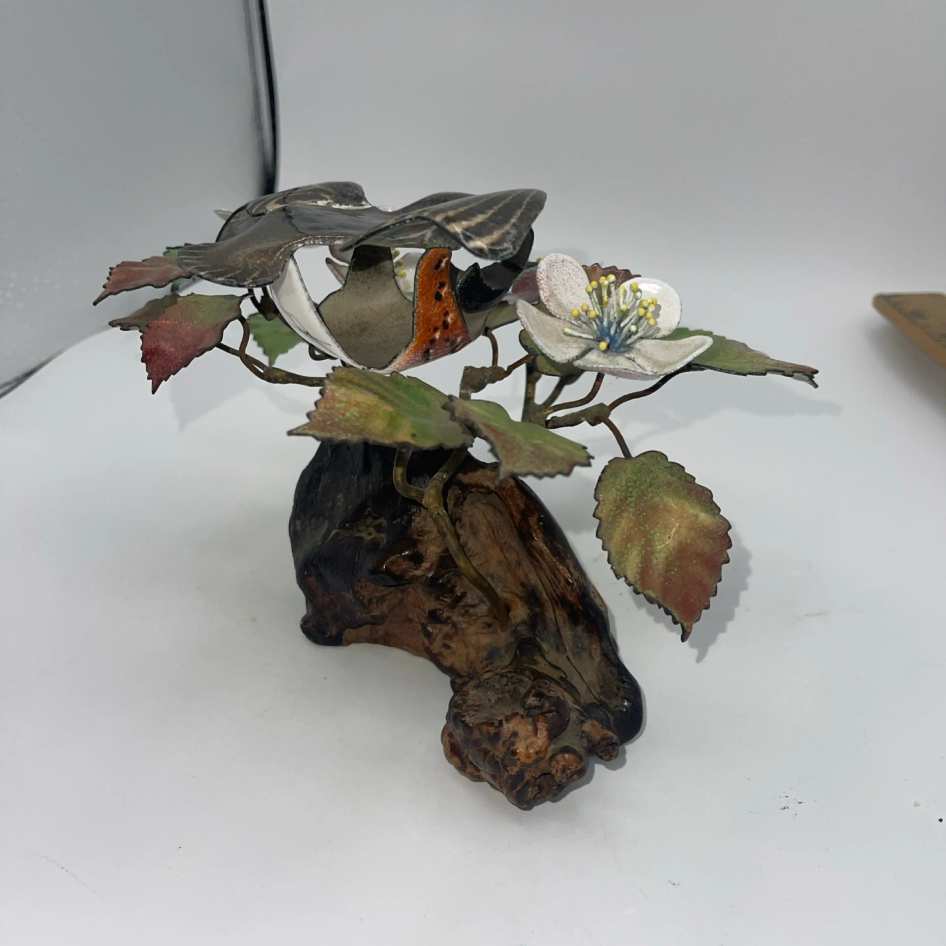 Image 4 of 12