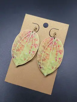 Retiring - Sun Stressed Hoya NoID Earrings