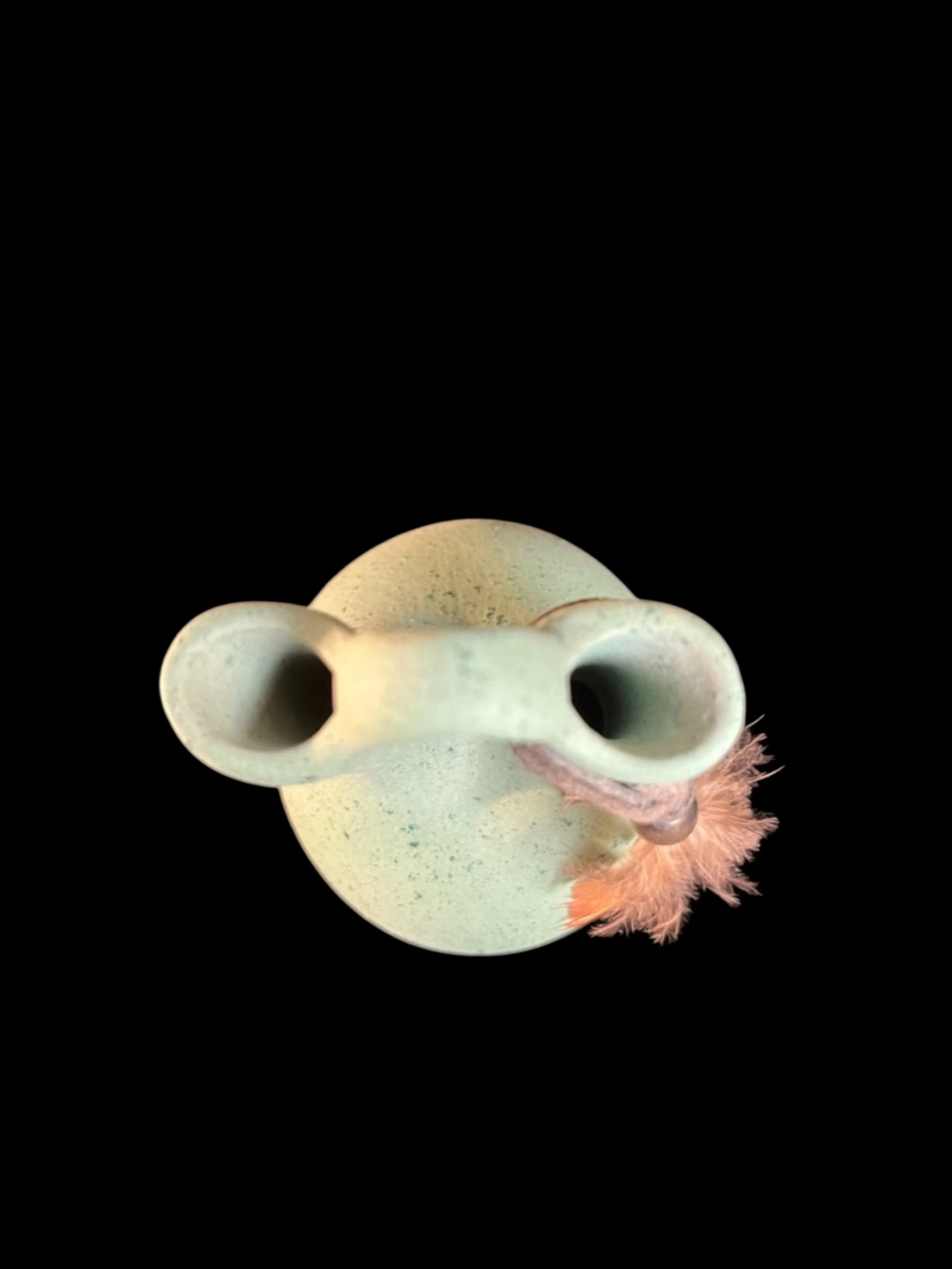 Image 5 of 5