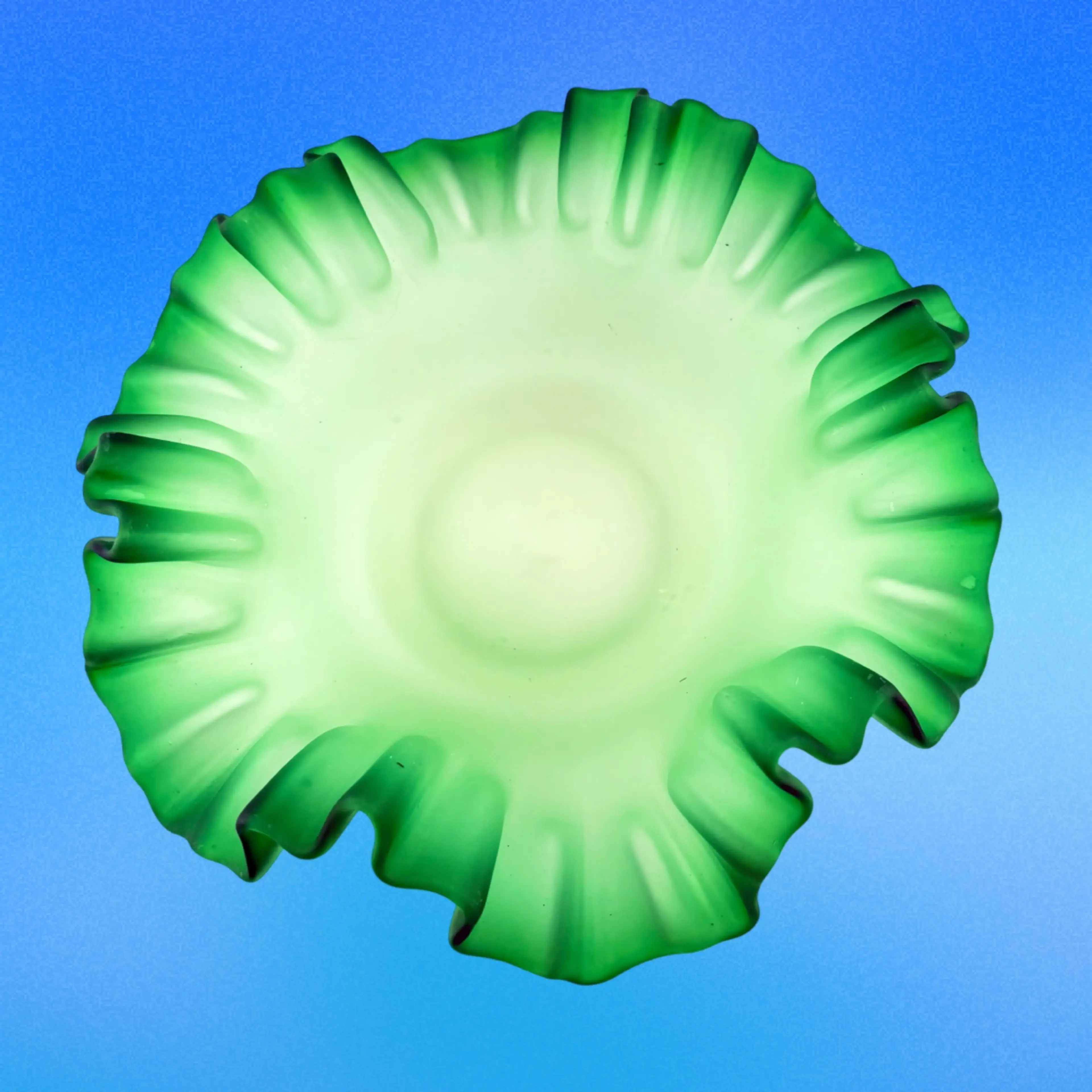 Image 2 of 7