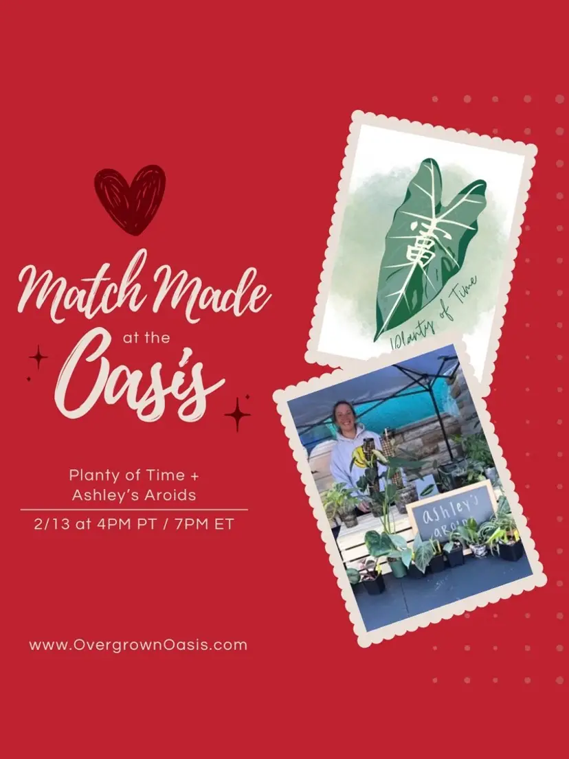 Livestream thumbnail