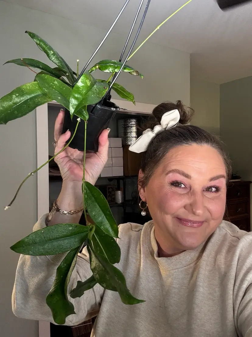 Livestream thumbnail