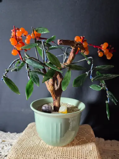 MONDAY NIGHT MADNESS 