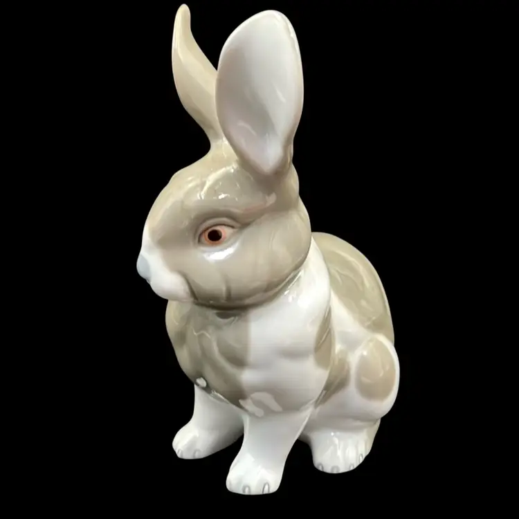 Gray And White Bunny