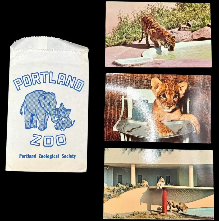 Set of 3 Vintage Portland Oregon Zoo Postcards in Bag Lion Tiger Big Cats 1970s