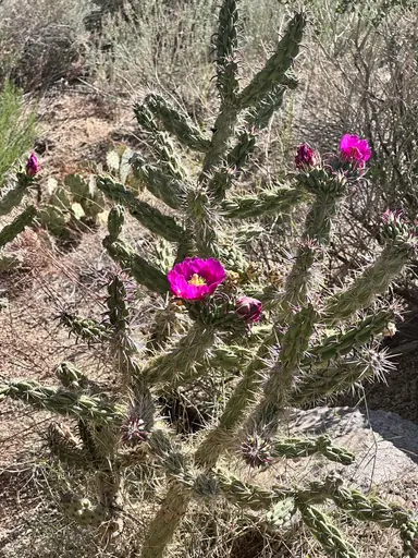 Part 2 Of Cleaning Out The Old 