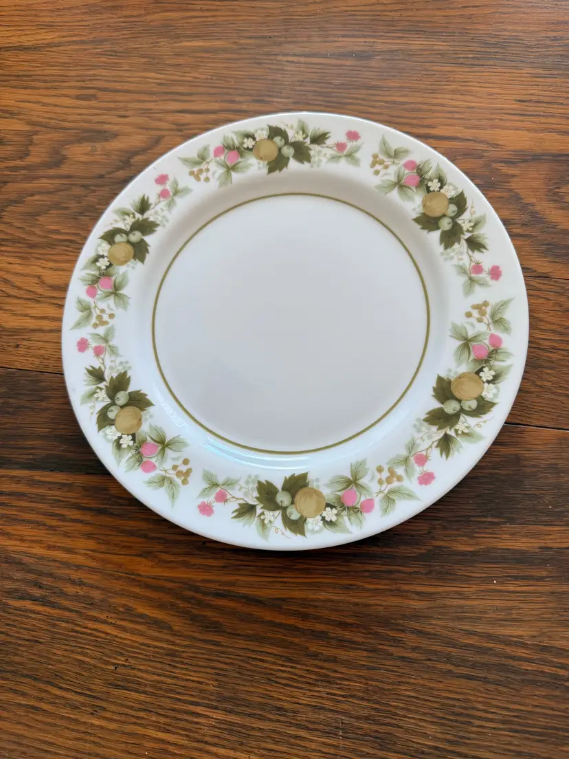 Vintage Mikasa Eclipse Dinner Plate 10" – Fine China Japan Discontinued Fruit & Floral Pattern