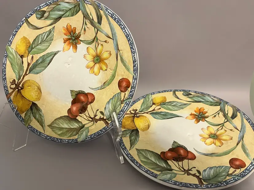 TOSCANA ICC Versilia Floral & Fruit 9” Salad Plates- Set Of 2