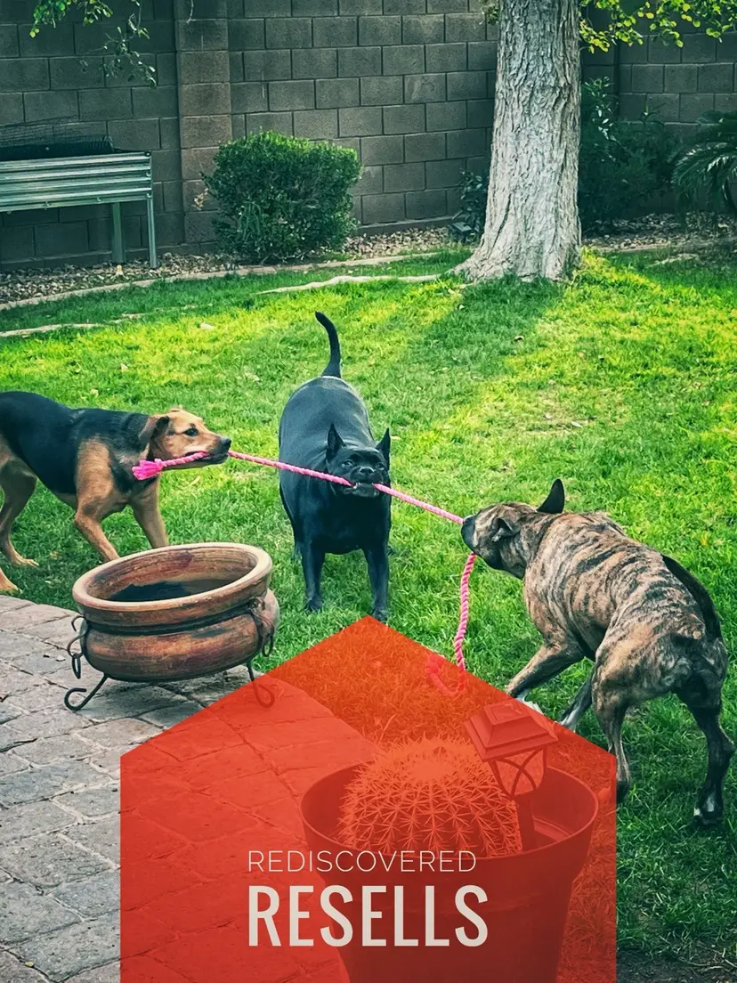 Livestream thumbnail