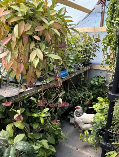 Midweek Mayhem: Choring With The Homies: PJ PARTY