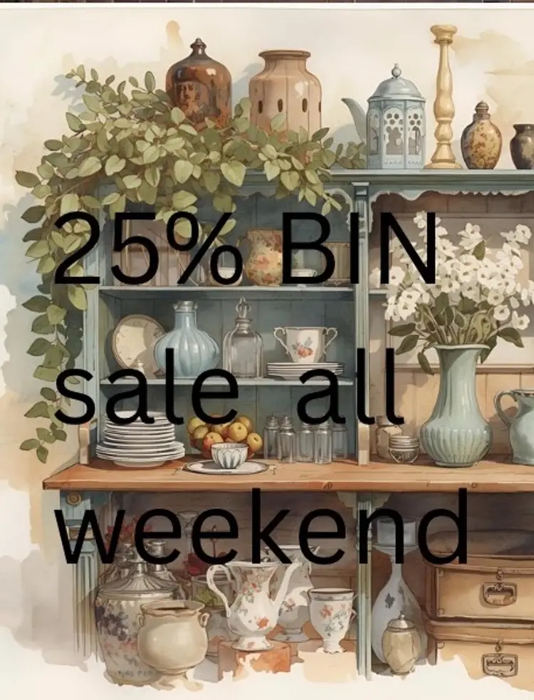 Scan The Shelf’s, Coupon Code For BIN Sales In Show Notes 