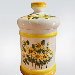 Vintage Daisy Canister