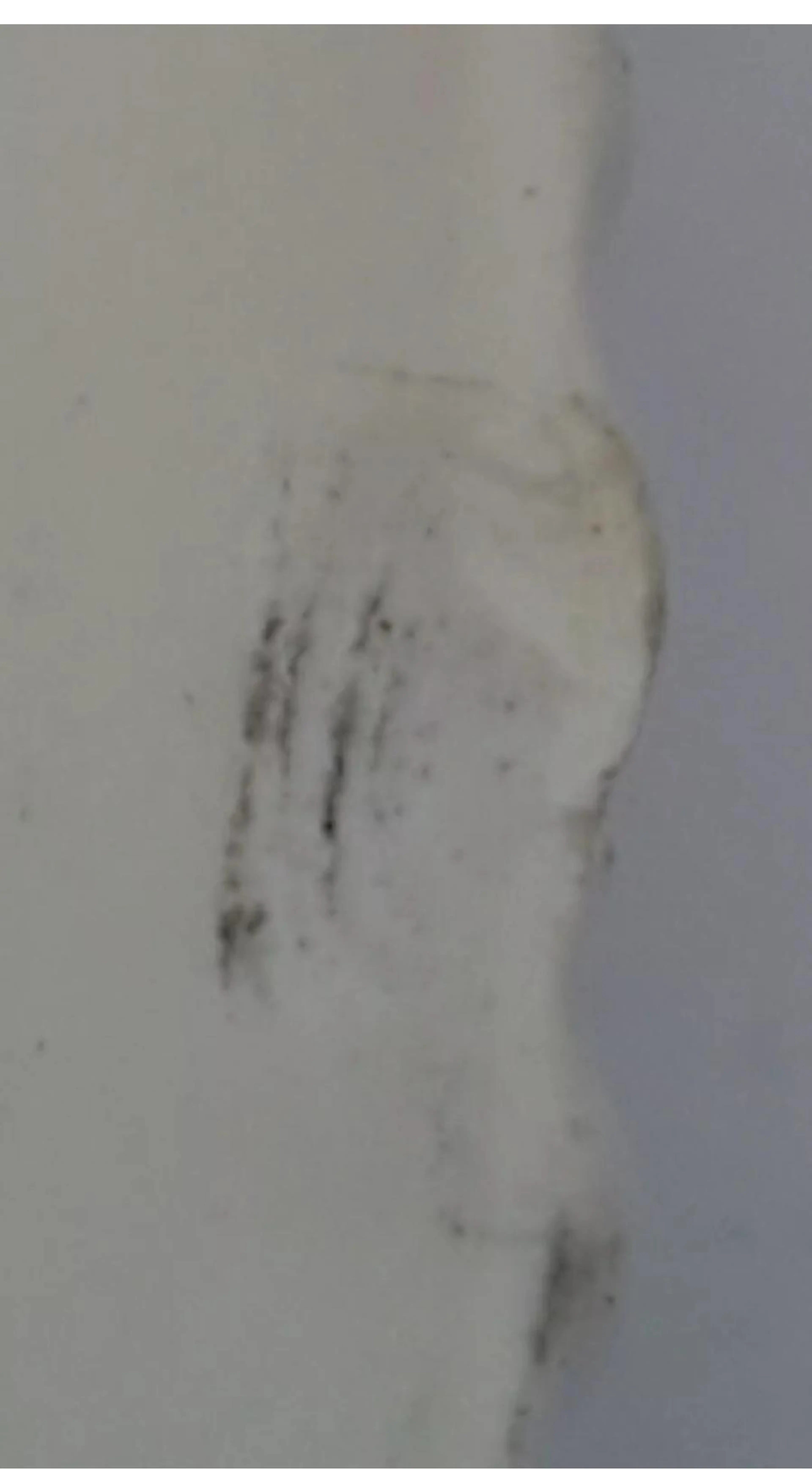 Image 5 of 7