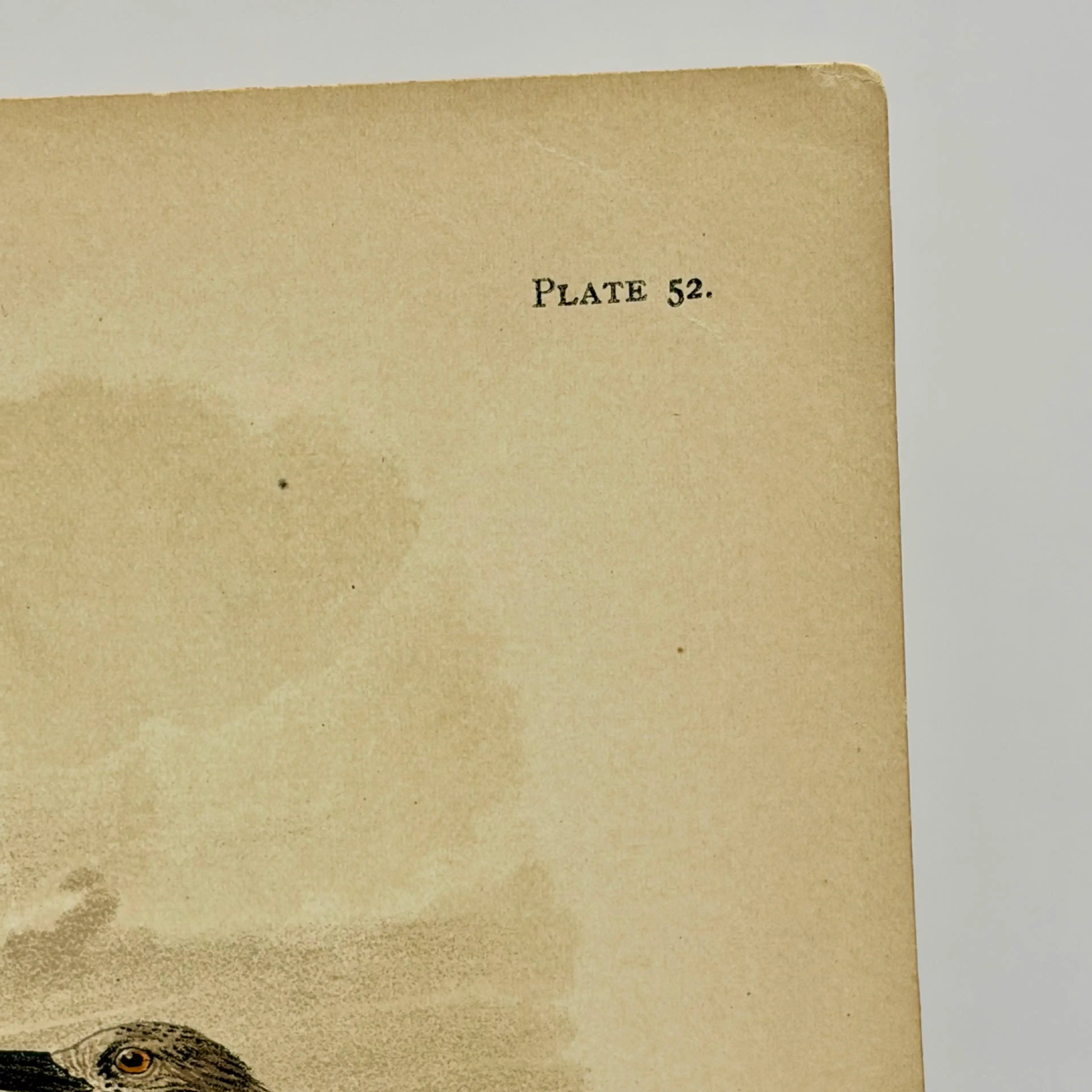 Image 3 of 9