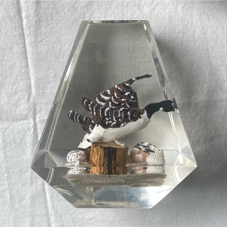 MCM Vintage Geometric Sea Birds Lucite Paperweight 5.5”