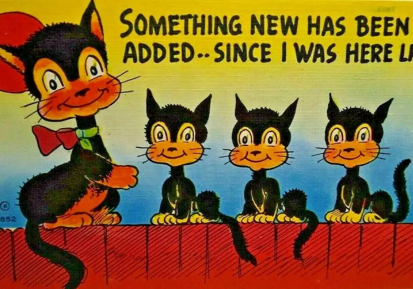 Black Cats On Fence Postcard Something New Has Been Added Series 852 Unused