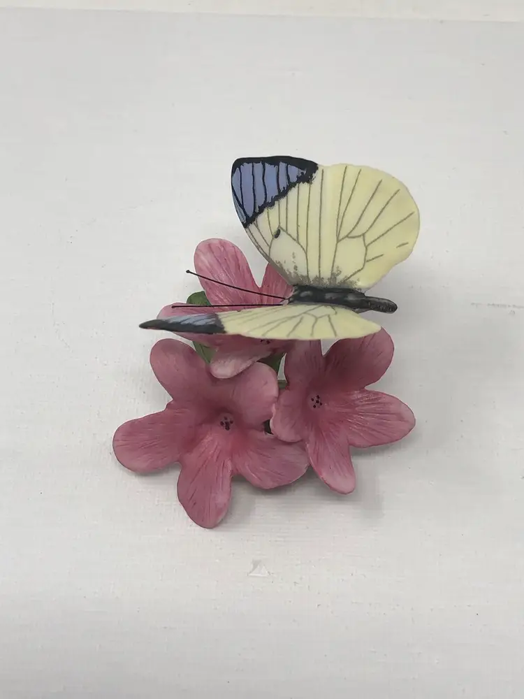 Franklin Mint Butterflies of the World Queen Purple Tip 1986