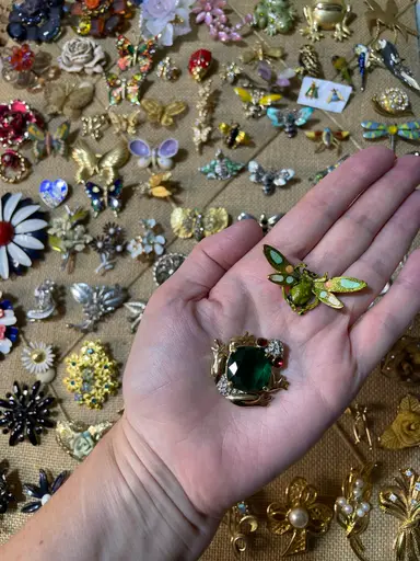 Brooch Party - Watch out bugs, the frogs are invading!