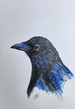 Crow (American) Original Watercolor Painting Signed By The Artist 5x7