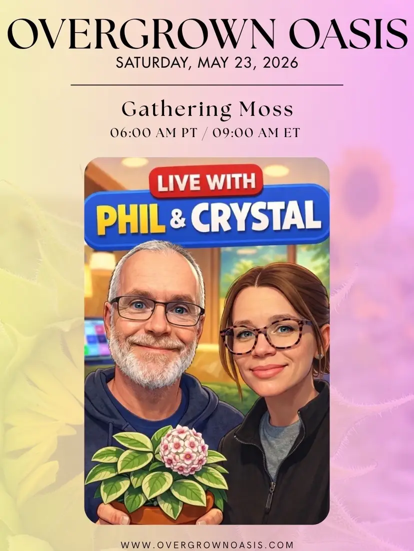Livestream thumbnail