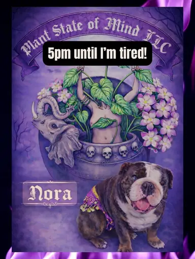 Start 6pm LOCal GROWN OBSCURITIES & HOYA !!