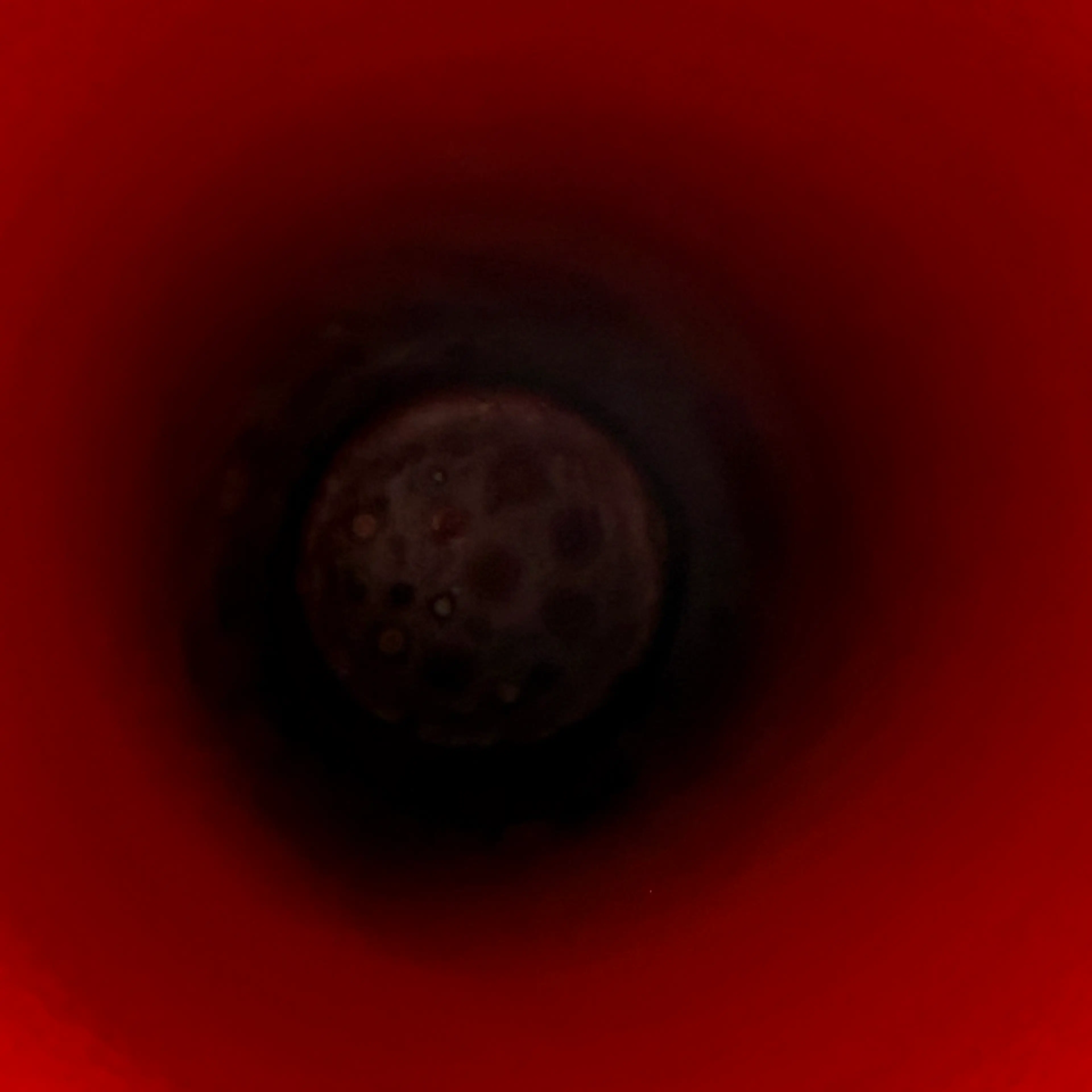 Image 5 of 10
