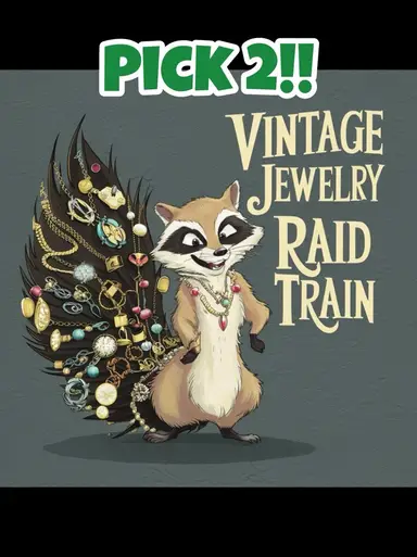 Vintage Jewelry Raid Train With MyFlippingVanLife!