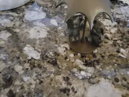 Brass Bears Under an Umbrella