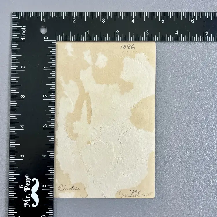 Victorian Trade Card Embossed Kittens Cats Fishing In Wicker Basket Flowers