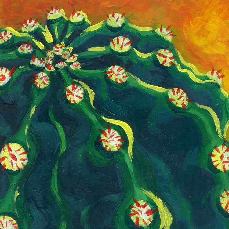 Art Prints – 'Echinopsis oxygona'