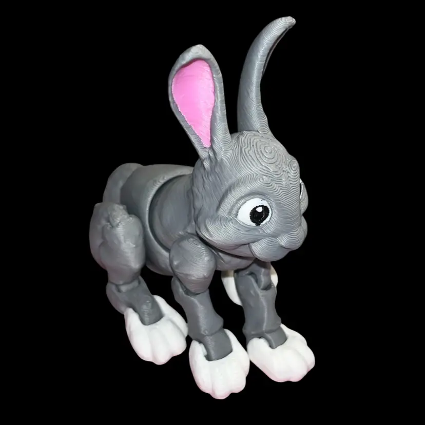 3D Printed Item As Shown