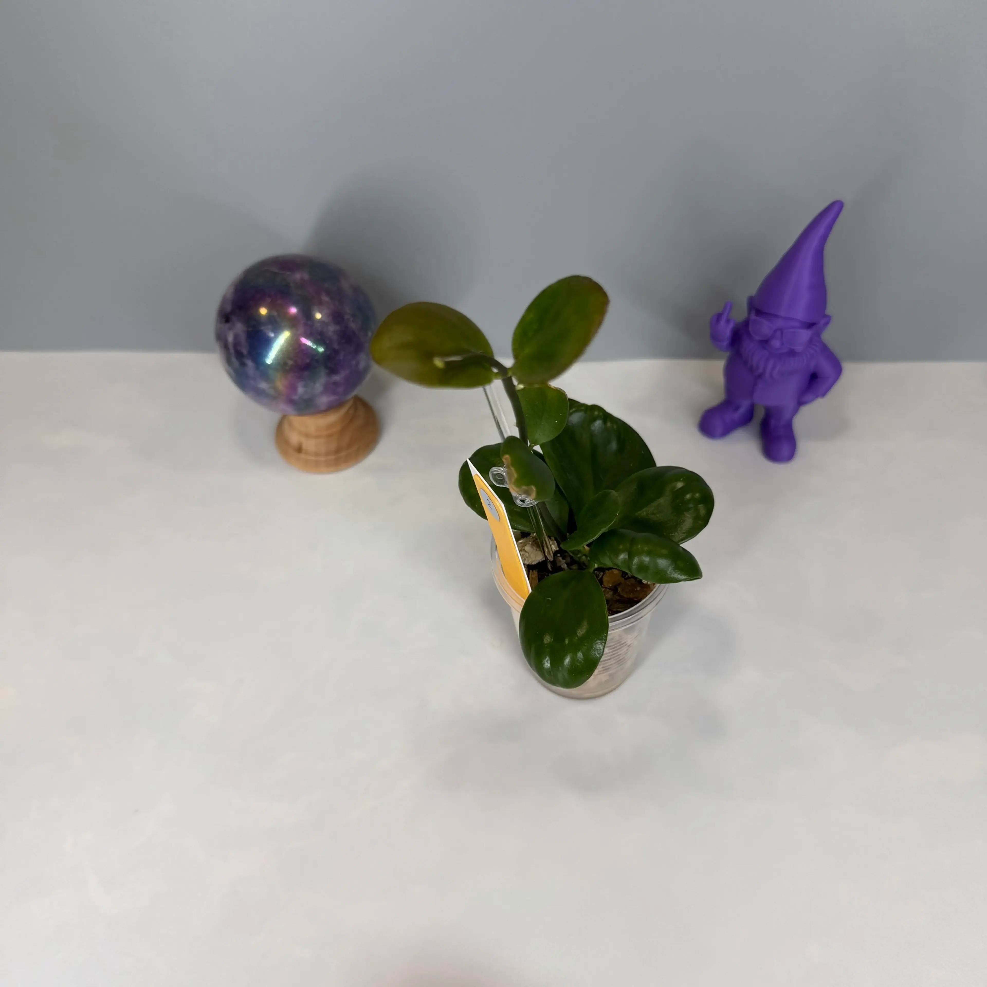 Image 4 of 6