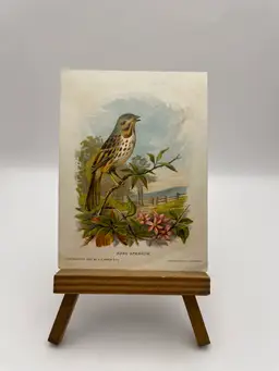 Antique Trade Card, Good-Will
Soap New England Birds, “Song-Sparrow”, Copyrighted 1888 by G.E. Marsh & Co., Armstrong & Co. Lith. Boston
Nice Condition!