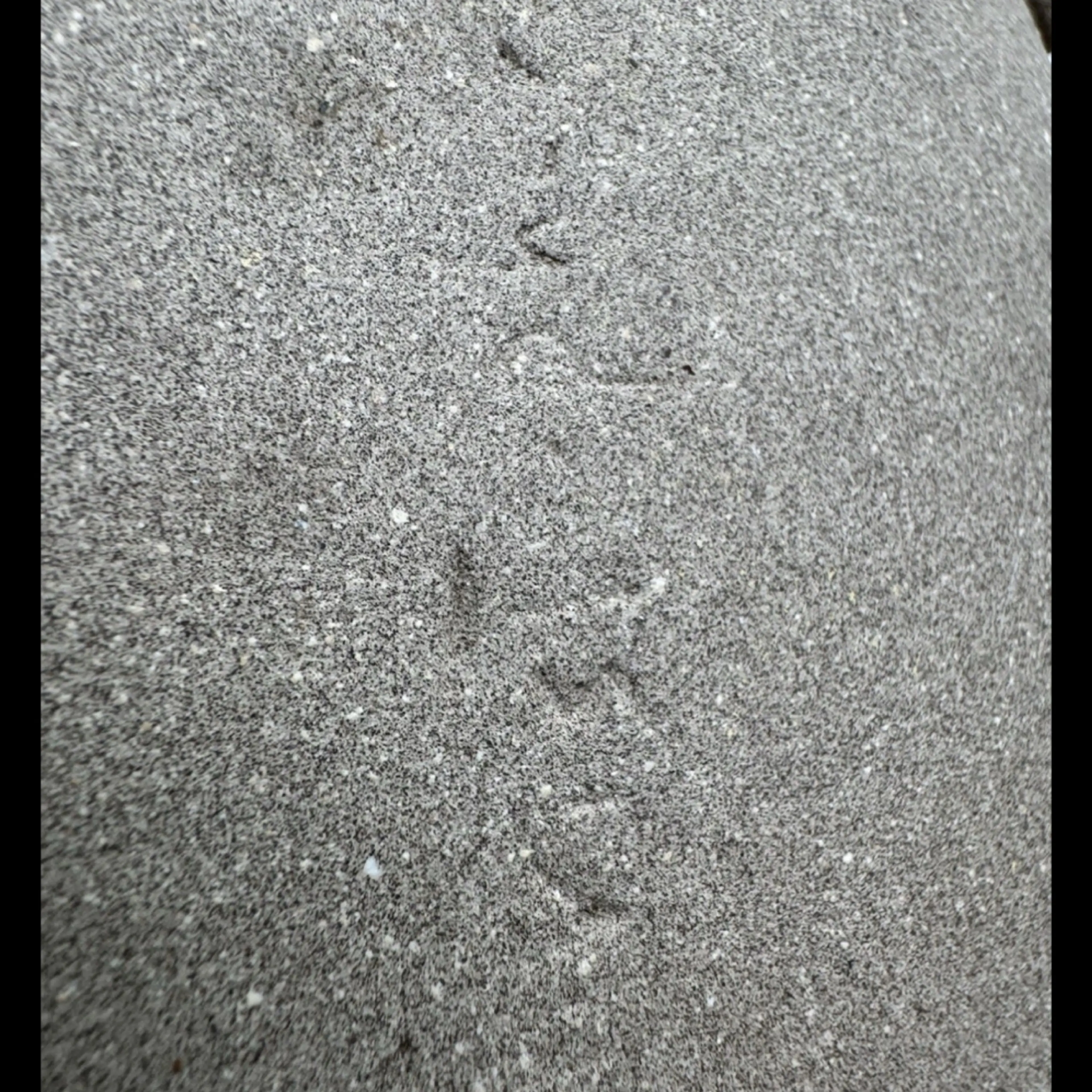 Image 4 of 12