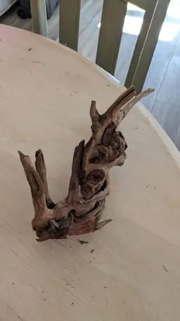 Driftwood Redwood D4